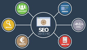 Unlocking the Potential of SEO Marketing Services