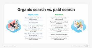Unlocking the Potential of Organic Search Engine Optimization: A Guide to Sustainable Online Growth