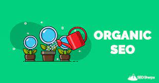 Unlocking the Potential of Organic SEO Strategies