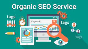 Unlocking Success: The Role of an Organic SEO Agency in Elevating Your Online Presence