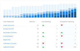 Unlocking Success: Enhance Your Website’s Performance with an SEO Rank Monitor