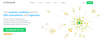 seo audit agency